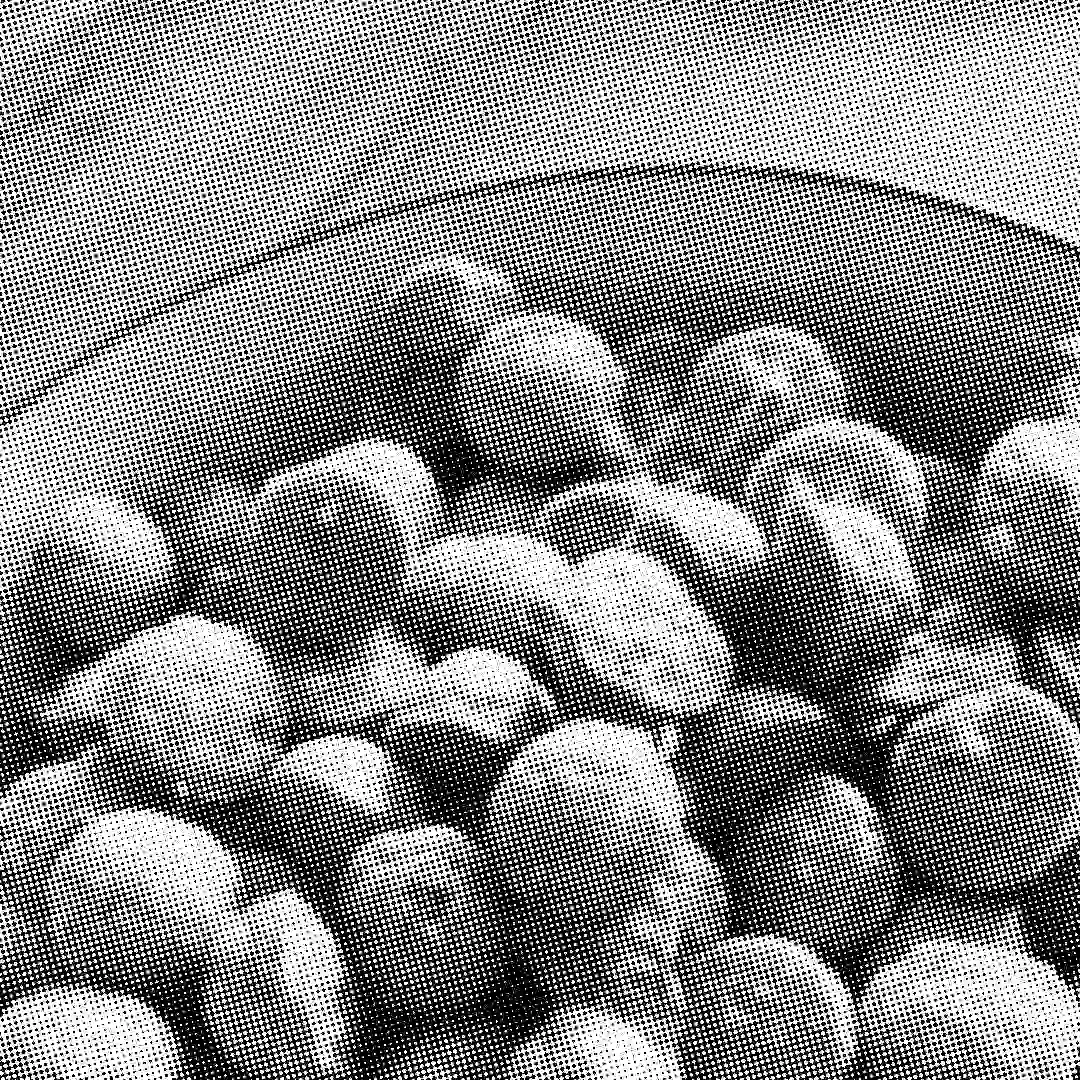 Eine Schale mit selbst gebackenen Hunde-Snacks als Belohnung im Training.